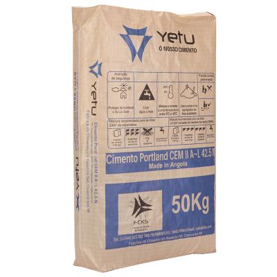 Chine 25kg Moisture Proof Heat Seal Glossy Printing PP Woven Valve Bag For Tile Adhesive à vendre