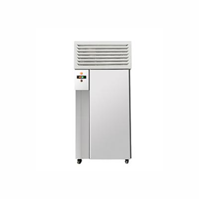 China Custom Commercial Upright Stainless Steel Kitchen Freezer Price for sale