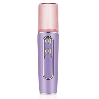 China Moisturizer Double Hole Spray Electric Facial Steamer With Power Bank Facial Mist Jet Skin Care Device for sale