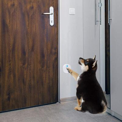 China Daytech CW01 3-1 Home Apartment Potty Training Dog Doorbell Healthy Dog Training Doorbell Included 1 Receiver + 3 Transmitters for sale