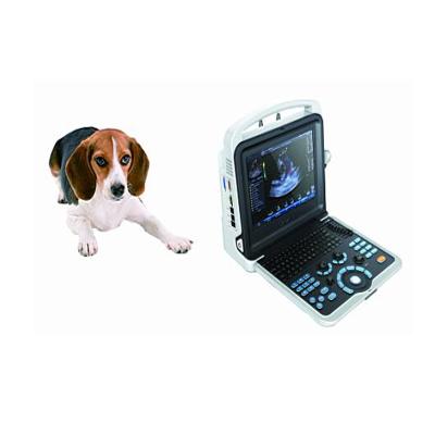 China Portable clamshell design Maya A035A sonoscape dog ultrasound scanner v16 vet ultrasound vet for sale