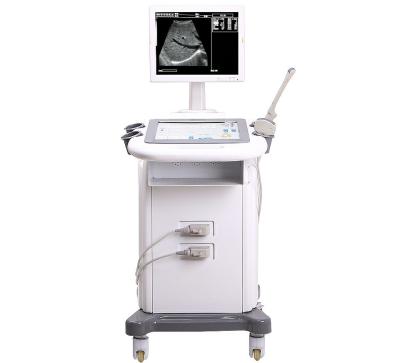 China ND MY-A019 Medical Portable Ultrasound Scanner Machine For Hospitals And Clinics For Examination for sale