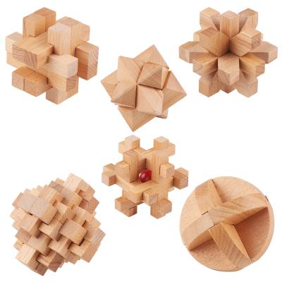 China DIY TOY Factory Supply 6-in-1 3D Small Wooden Puzzles Kongming Lock Luban Lock IQ Test Toy for Teens and Adults for sale