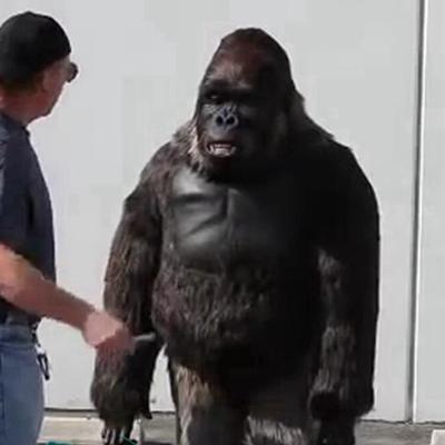 China Mental Steel OAGC6001 Highly Affected Gorilla Animatronic Costume for sale