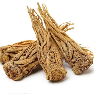 China Health Food Plant Wholesale: Organic Plant Chinese Herbal Medicine - Angelica sinensis for sale