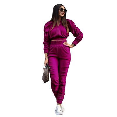 China 2021 New Fashion Thickening Suede Workable Pleated Two-Piece Set Long Sleeve Sweatpants Elegant Suit Women Pants for sale