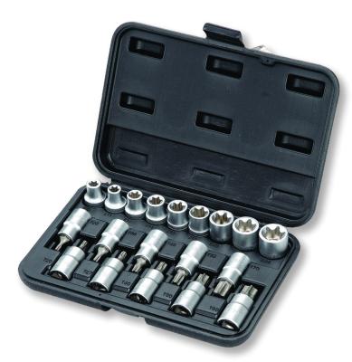 China (SK-19) 19pcs Star Plug and Bit Set SK-19 Hand Tool for sale