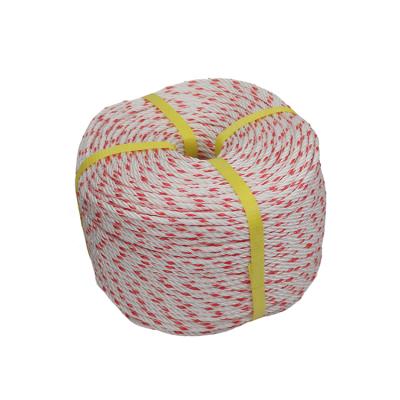 China High Quality Polyester Polyamide Plastic Cotton Twist Rope Polyethylene PP/PE Nylon Rope for sale