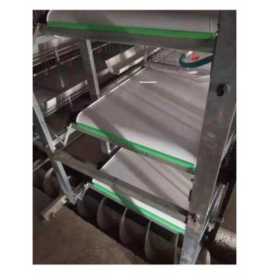 China Farms 3*10ft 1*3M White Corrosion Resistant Chicken Farm Poultry Fertilizer Conveyor PVC Belt for sale