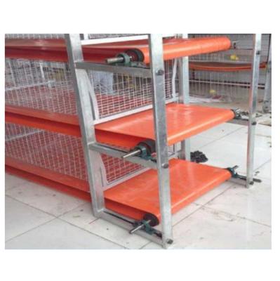 China Grows 10x33ft 3*10m Raise Chicken Rabbit Quail Pigeon Farm Poultry Fertilizer Conveyor PVC Belt for sale