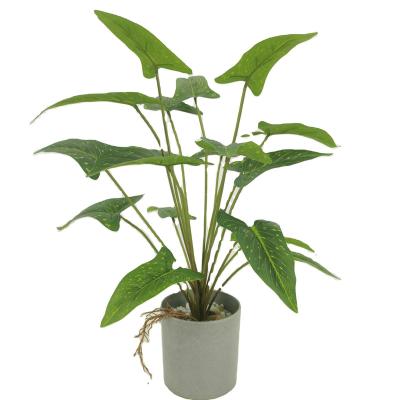 China High Quality Home Green Leaves Plants Table Decor Environmentally Friendly Green Leaves Plants for sale