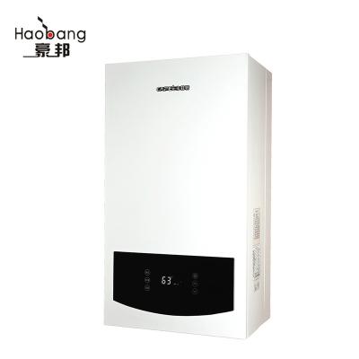 China Household Wall Mounted Gas Boiler For Central Heating Home for sale