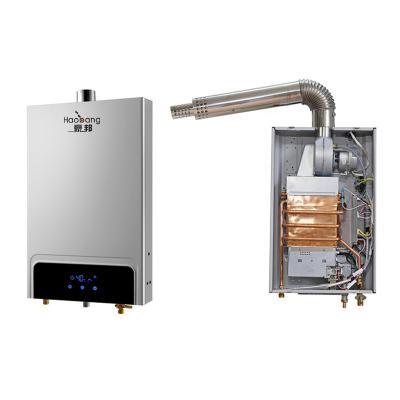 China Hot Sale 10L 12L China Household Constant Temperature Control Tankless Instant LPG Gas Geyser Natural Smart Water Heater for sale