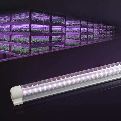 China Seed Starting China Made 4Ft 20000 Lumens Inch T8 LED Full Spectrum Hydroponics Plant Light 48 Green House Grow Lights for sale