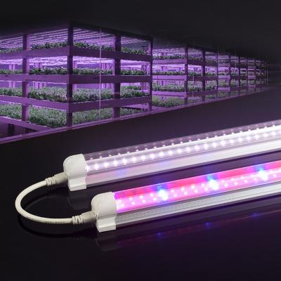 China Seed Starting T8 Led Grow Light 18w 36w 45w 72w Full Spectrum Customize Strawberry Tomato Hydroponics for sale