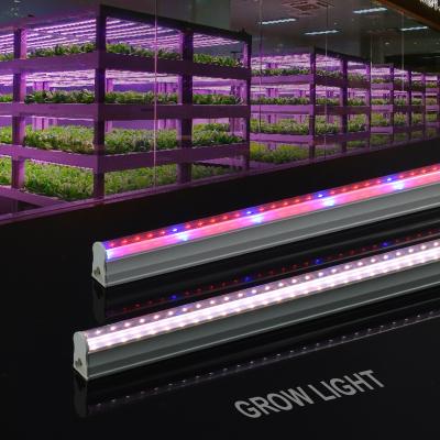 China Seed Starting Future Wholesale White T5 Grow Light Fixture Full Spectrum 600 Led For Growing Strip Lamp Indoor Plants 3500k for sale