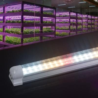 China High Quality Seed Starting and Full Lumen Spectrum Growing Led Lamp For Plant Growth To Grow Light Full Spectrum Customize for sale