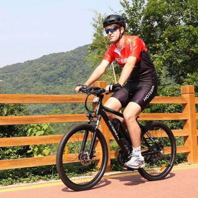 China Chinese aluminum alloy 26 inch mountain men's ebike black color electric bicycle 36V 250W 350W for sale