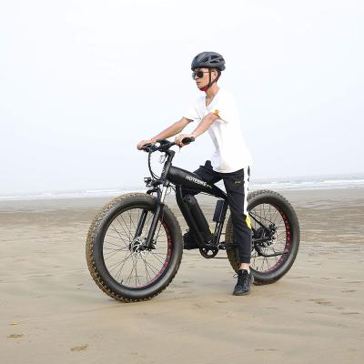 China Electric Bike D1 Fat Tire 26inch Fat Bike Eu Warehouse Unisex Electric Rear Motor Suspension 48V 500W 750W Fat Bike for sale