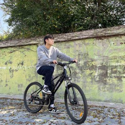 China Pro Mid Drive Aluminum Alloy A6AH27.5 Electric Bike 48v 500w 10ah 13ah lithium battery for ebike 26 27.5inch mid drive enduro ebike for sale