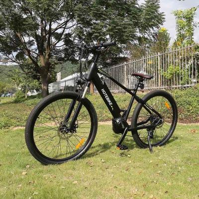 China New mid drive aluminum alloy bike 48v 500w 750w electric bike26 27.5inch motor 2 seat mid drive e-bike for sale