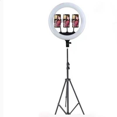 China 45cm USB PORTABLE Beauty Studio Photo Circle Visual Lamp USB Phone Live Streaming RL 18 18 Inch Ring Light with Tripod Stand for sale