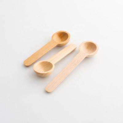 China Viable Mini Small Wooden Matcha Measuring Spoon for Tea Coffee Salt Suger CA004 CA005 for sale