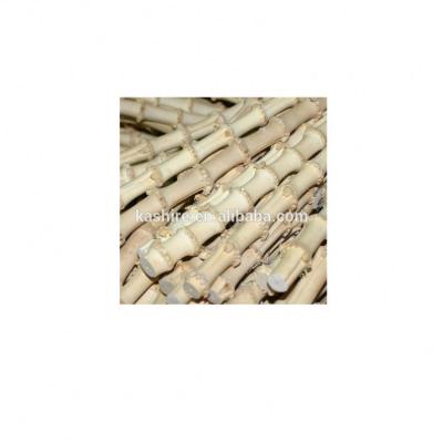 China Friendly raw bamboo root for purse handle for sale