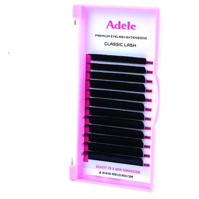 China Adele Wholesale soft natural 0.03 0.05 0.07 private logo wholesales real classic lashes mix eyelash extension wick for sale