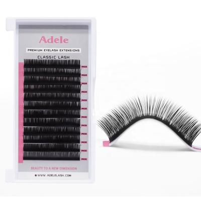 China 2022 Adele Korean Soft Natural Custom Private Label Lashes Supplies Individual Lash Trays Volume Classic Cashmere Eyelash Extension PBT for sale