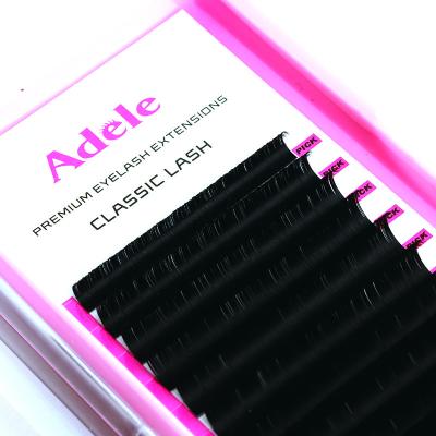 China Natural Soft Wholesale Individual Eyelash Extensions Private Label Custom Eyelash Extensions Supplies Black Top Eyelash Extensions for sale