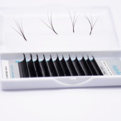 China Natural Soft Silk Professional Eyelash Extensions Super Soft Fan Hot Fan Eyelash Extension Eyelash Extension Super Soft Blooming Volume for sale