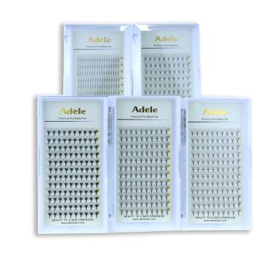 China Promade Fans Strip 120 Lashes Individual Loop Eyelash Extensions 3D 0.07mm D Medium Volume Fan for sale