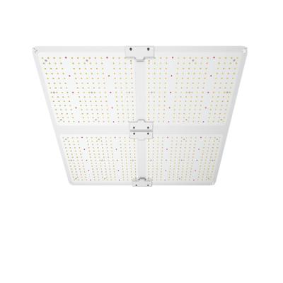 China Seed Building Full Spectrum DLC ETL Boat 400w CE Dimmable USA EU CA Free Running Cheap Foldable Indoor 800w 720w 720w 640w 400w Led Grow Lights for sale