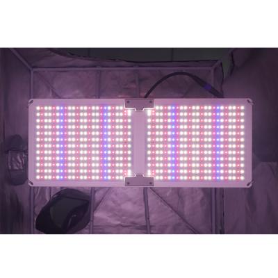 China 2ft x 4ft Us Running Greenhouse Ca Eu Grow Light 200w Lm301b Led Grow UV Light Panel With Controller for sale