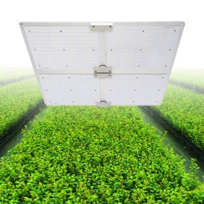 China Seed Starting PPF CE FCC Up to 1080 umol/s Passed Indoor Herbal Grow 200w 400w 600w 720w 800w 1000w Full Spectrum Led Grow Light Board for sale