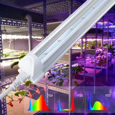 China Seed Growing VANQ 20w Daisy Chain T8 Full Spectrum Red Blue Plants Led Grow Light Indoor Plant For Programmable Clone Tissue Cultivation for sale