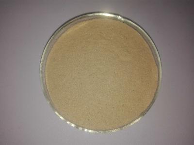 China Bacillus Subtilis Probiotic Chicken Feed Additives Water Soluble for sale