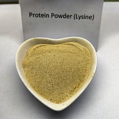 China Toevoegingsmiddelen voor diervoeding Vleesprotein Supplement met lysine 15% Voor rundvlees Te koop