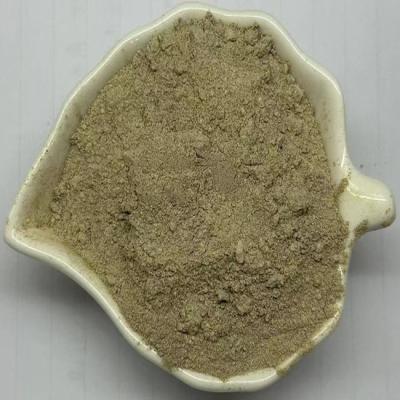 China Lysine Fermenting Bacterial Animal Feed Additives With Crude Protein 75% for sale