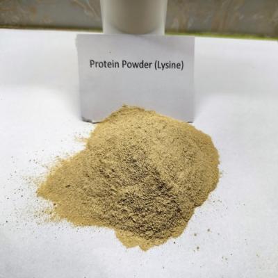 China Probiotics Fermentation Brown Poultry Protein Powder Crude Protein 75% for sale