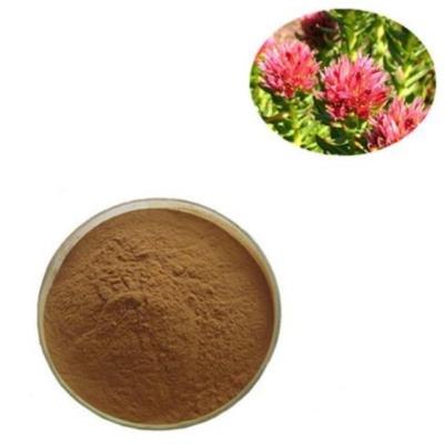 China Rhodiola Rosea PE Plant Extracted Powder Chinese Medicine for sale