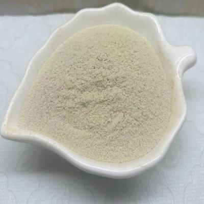 China Fish Meal In Poultry Feed Biological Enzymatic Digestion Fish Protein Feed Additives With Organic Nitrogen 12.8% en venta