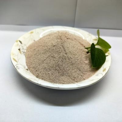 Cina OEM Preparazione complessa di probiotici Additivi per mangimi suini mangimi biologici in vendita