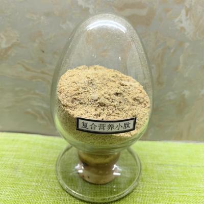 中国 化合物 植物性ペプチド 飼料添加物 水溶性 抗炎症性 販売のため