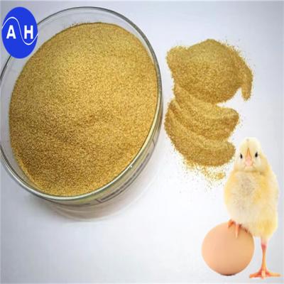 Cina Vitamine Premix per galline ovaiole Supplemento proteico di pollame per una salute ottimale in vendita