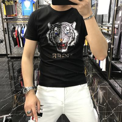 China New Design Anti Wrinkle Anti-Wrinkle Drill Cotton Shorts Stitch Tiger Graphic Print Custom Hot Custom T-Shirts For Men for sale