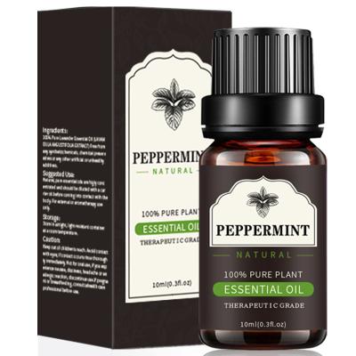 China Skin Revitalizer Mint Oil 100% Essential Oil Lavender Peppermint Tea Tree Massage Essential Oil Natural Peppermint for sale