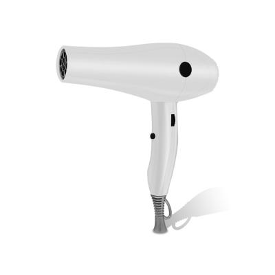 China Amazon Hair Dryer Professional Wholesale Ionic Hair Salon Hair Dryer Hair Dryer Prices for sale