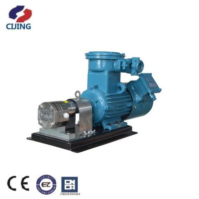 China Automotive Industry Gear Pump Assembly Stainless Steel Gear Metering Pump for sale